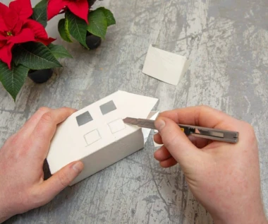 Darujte radost i boje! Pokloni s cvatućim božićnim zvijezdama