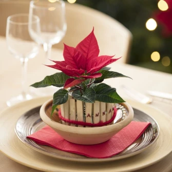 Kako postaviti blagdanski stol: Svestrani božićni ukrasi s božićnim zvijezdama