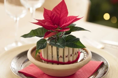 Kako postaviti blagdanski stol: Svestrani božićni ukrasi s božićnim zvijezdama
