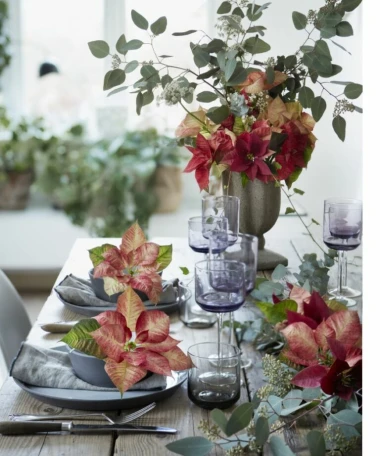 Kako postaviti blagdanski stol: Svestrani božićni ukrasi s božićnim zvijezdama