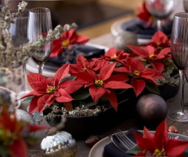 Kako postaviti blagdanski stol: Svestrani božićni ukrasi s božićnim zvijezdama