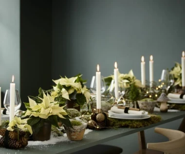 Kako postaviti blagdanski stol: Svestrani božićni ukrasi s božićnim zvijezdama