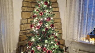 Zavirile smo u domove na&scaron;ih čitateljica: Pogledajte fotografije čarobnih božićnih jelki