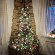 Zavirile smo u domove na&scaron;ih čitateljica: Pogledajte fotografije čarobnih božićnih jelki