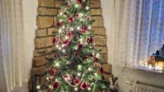 Zavirile smo u domove na&scaron;ih čitateljica: Pogledajte fotografije čarobnih božićnih jelki