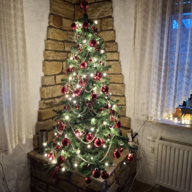 Zavirile smo u domove na&scaron;ih čitateljica: Pogledajte fotografije čarobnih božićnih jelki