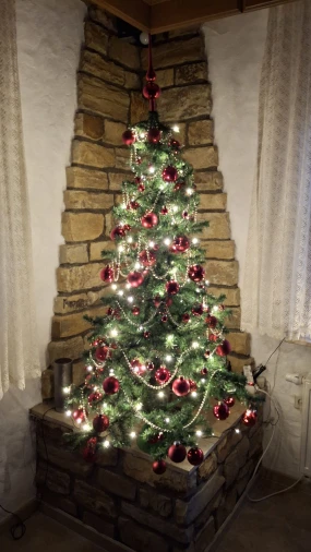 Zavirile smo u domove na&scaron;ih čitateljica: Pogledajte fotografije čarobnih božićnih jelki