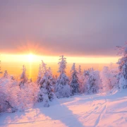 Horoskop za četvrtak: Ovnove čekaju male promjene na poslu, vage bi mogle malo popustiti