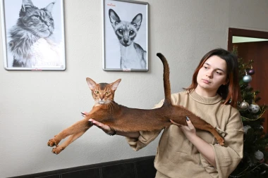 Ovo je najljep&scaron;a mačka na svijetu: Upoznajte Darlena, pravi je gospodin