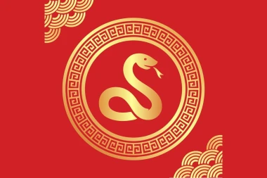 Kineski godi&scaron;nji horoskop za Zmiju za 2026.: &Scaron;to vas čeka u godini Vatrenog Konja