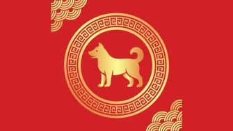 Kineski godi&scaron;nji horoskop za Psa za 2026.: &Scaron;to vas čeka u godini Vatrenog Konja