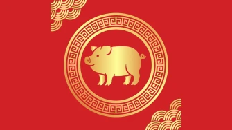 Kineski godi&scaron;nji horoskop za znak Svinja za 2026.: &Scaron;to vas čeka u godini Vatrenog Konja