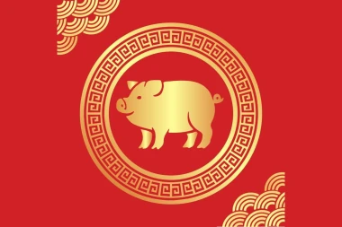 Kineski godi&scaron;nji horoskop za znak Svinja za 2026.: &Scaron;to vas čeka u godini Vatrenog Konja