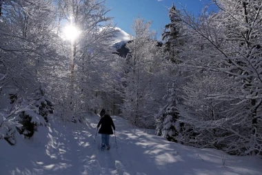 Zimske radosti samo dva sata od Zagreba: Osjetite zimu u Jezerskom