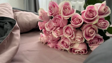 Koje cvijeće pokloniti za Valentinovo? Cvjetovi koji nose poruku ljubavi