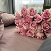 Koje cvijeće pokloniti za Valentinovo? Cvjetovi koji nose poruku ljubavi