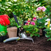 Priprema vrta i balkona za proljeće: Vodič za poslove u veljači