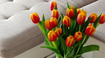 Dozivamo proljeće: Tulipani na&scaron;ih čitateljica u vazama donose svježinu i boje