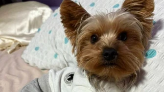 Kakvi slatki&scaron;i! Ovo su najslađi ljubimci na&scaron;ih čitateljica