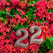 Magični 22. veljače: Anđeoska poruka koju ne smijete ignorirati