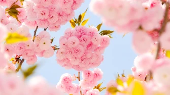 Veliki mjesečni horoskop za ožujak: Vrijeme je za velike odluke i novi početak