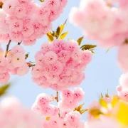 Veliki mjesečni horoskop za ožujak: Vrijeme je za velike odluke i novi početak