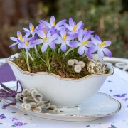 Horoskop za ponedjeljak: Strijelci uzmite sve &scaron;to možete, jarčevi slu&scaron;ajte &scaron;efove