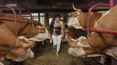 Romina je probila led i osvojila visokih 75 bodova: 'Zabolio me trbuh od smijanja - dobar početak tjedna!'