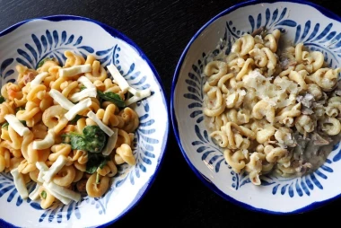 Gastro doživljaj Fru&scaron;ke Gore: Od domaćih u&scaron;tipaka do trendy okusa vojvođanske Toskane