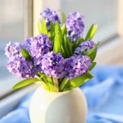 Horoskop za utorak: Vage kreću na dijetu, Jarčevi budite oprezni na poslu