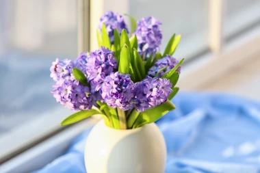 Horoskop za utorak: Vage kreću na dijetu, Jarčevi budite oprezni na poslu