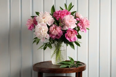 Tajna savr&scaron;enih božura: Kako ih posaditi i uživati u rasko&scaron;nim cvjetovima