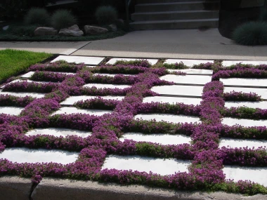 Vrt iz snova bez muke: Kako stvoriti predivnu oazu koja ne zahtijeva stalnu brigu