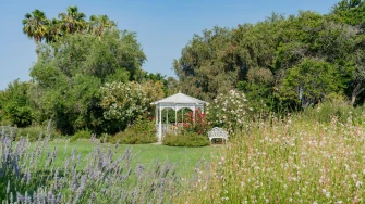 Vrt iz snova bez muke: Kako stvoriti predivnu oazu koja ne zahtijeva stalnu brigu