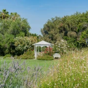 Vrt iz snova bez muke: Kako stvoriti predivnu oazu koja ne zahtijeva stalnu brigu