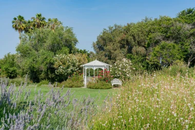 Vrt iz snova bez muke: Kako stvoriti predivnu oazu koja ne zahtijeva stalnu brigu