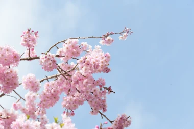 Horoskop za četvrtak: Bikovi pucaju od nervoze zbog &scaron;efova, djevice imaju tro&scaron;kove