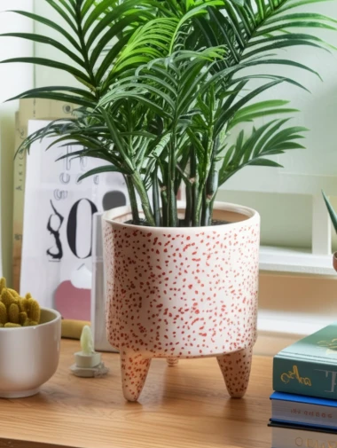 Od dva eura: Ove tegle za cvijeće iz Sinsaya, Pepca i Zara Homea su hit