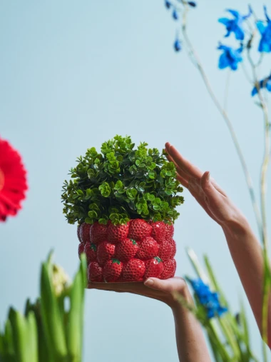 Od dva eura: Ove tegle za cvijeće iz Sinsaya, Pepca i Zara Homea su hit