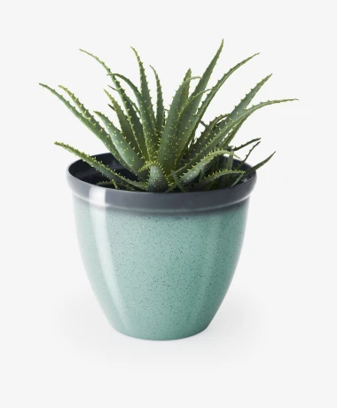 Od dva eura: Ove tegle za cvijeće iz Sinsaya, Pepca i Zara Homea su hit