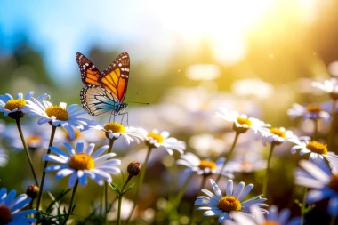 Horoskop za petak: Lavovi, ostanite mirni; jarčevi će izbjegavati dru&scaron;tvo