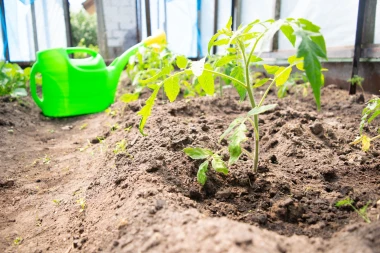 Vrtlarski kalendar za travanj: &Scaron;to i kako saditi za bujnu sezonu