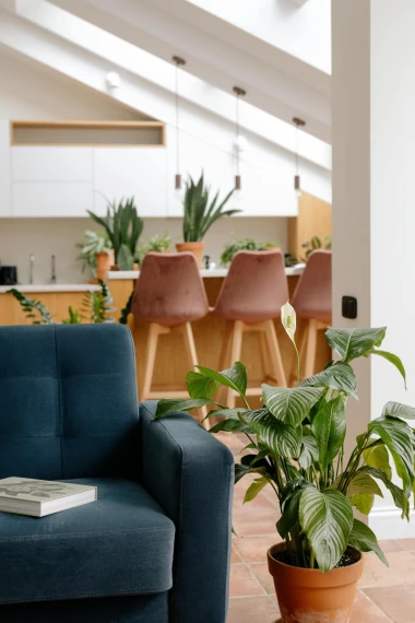 Zaboravite na obično či&scaron;ćenje: Japanska metoda Oosouji unosi mir i red u svaki dom