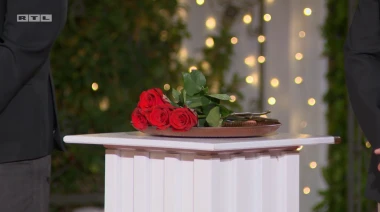 Večeras slijedi posljednja ceremonija ruža: Tko ide u finale 'Gospodina Savr&scaron;enog'?