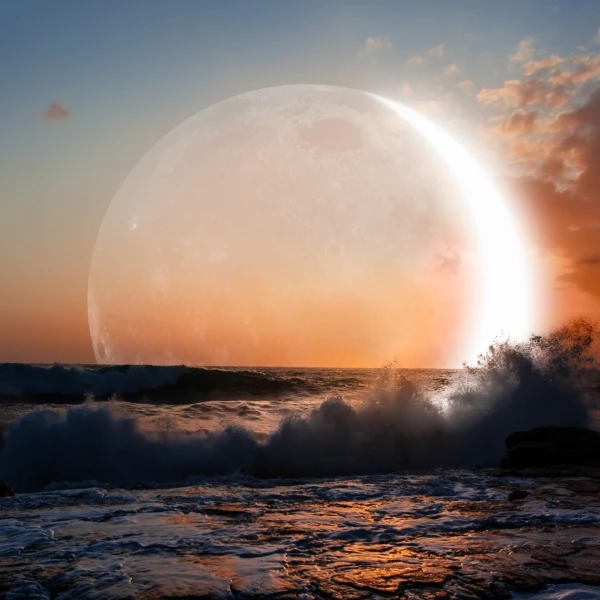 Mjesečeva dijeta: Vodič za mr&scaron;avljenje prema mjesečevim mijenama