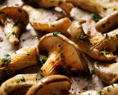 Umak od gljiva na 10 načina: Od klasičnih &scaron;ampinjona do egzotičnih shiitaka