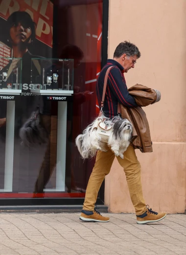 Mu&scaron;karac nosio psa kao torbicu i postao hit: Priča iza neobičnog prizora je vrlo dirljiva