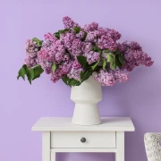 Horoskop za petak: Blizanci se ne smiju uspoređivati, jarčevi će biti pod povećalom