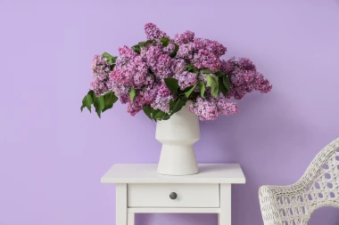 Horoskop za petak: Blizanci se ne smiju uspoređivati, jarčevi će biti pod povećalom