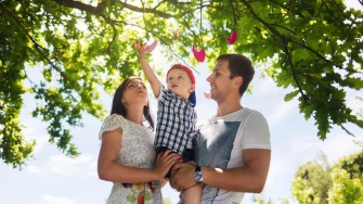 Koje je najbolje drvo za dvori&scaron;te? Ovo su izbori s kojima ne možete pogrije&scaron;iti